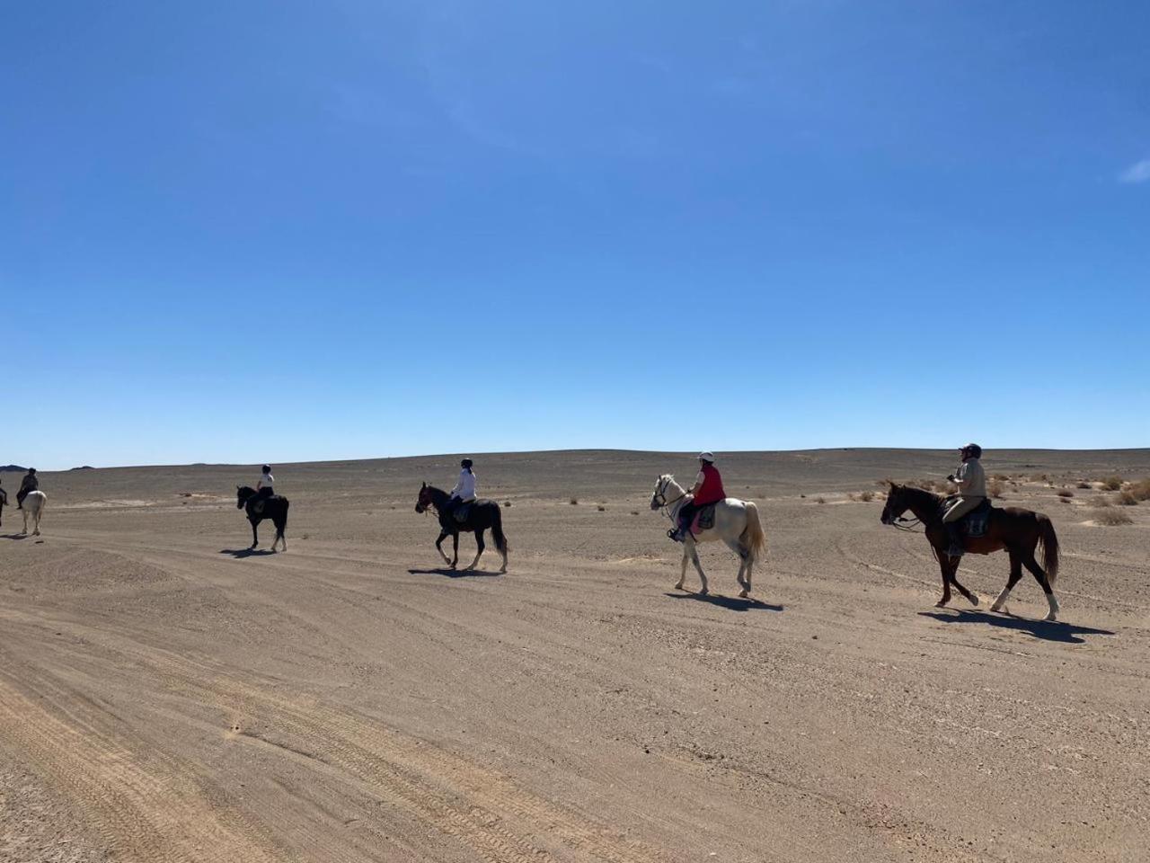 Auberge Restau Tombouctou Aït Benhaddou Dış mekan fotoğraf
